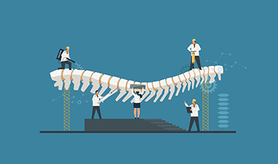 Why HR Is the Backbone of Small Business Success